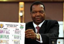 This Flag Mangudya