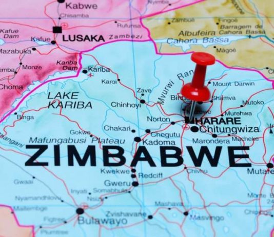 economy to contract 31 1