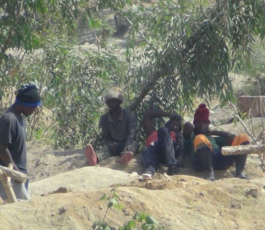 Inside Mazowe’s blood gold juj