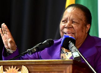 naledi
