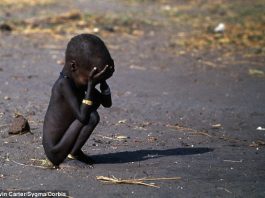 2F98A26000000578 3373018 Global food shortages will become three times more likely as a r a 3 1450951033133