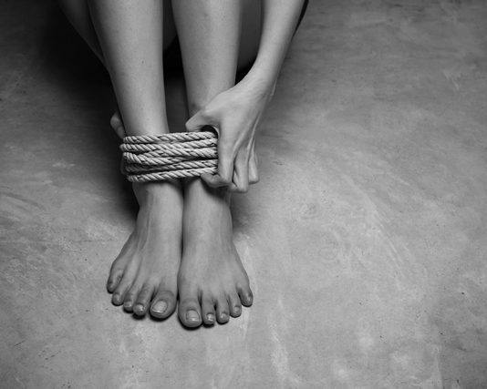 827767 shutterstock  1422260592