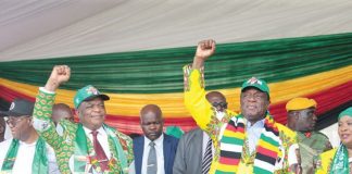 President Emmerson Mnangagwa and VP Constantino Chiwenga