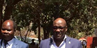 parirenyatwa jailed