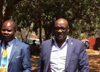 parirenyatwa jailed