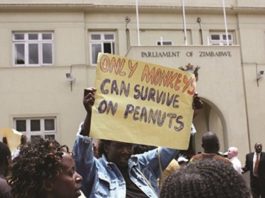 APEX COUNCIL 1200x600