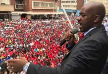 Nelson Chamisa 