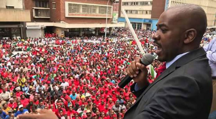 Nelson Chamisa 