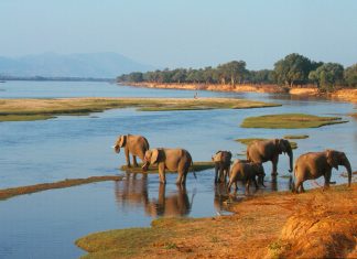 Zambezi ManaPools