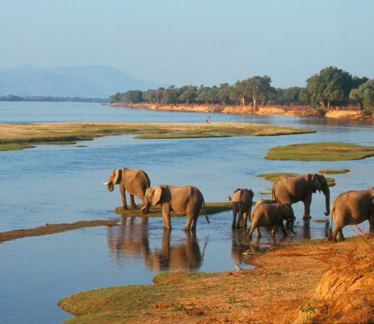 Zambezi ManaPools