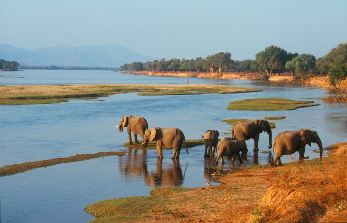 Zambezi ManaPools