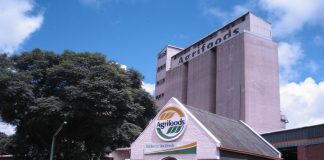 Agrifoods Zimbabwe