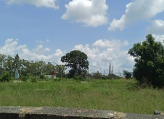 IMG 20200225 WA0046