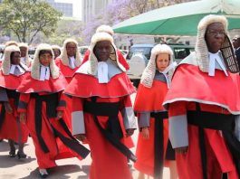 Cartels: Acting chief magistrate defends judiciary Judges procession