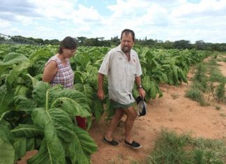 white farmers