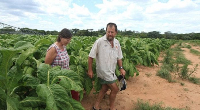 white farmers