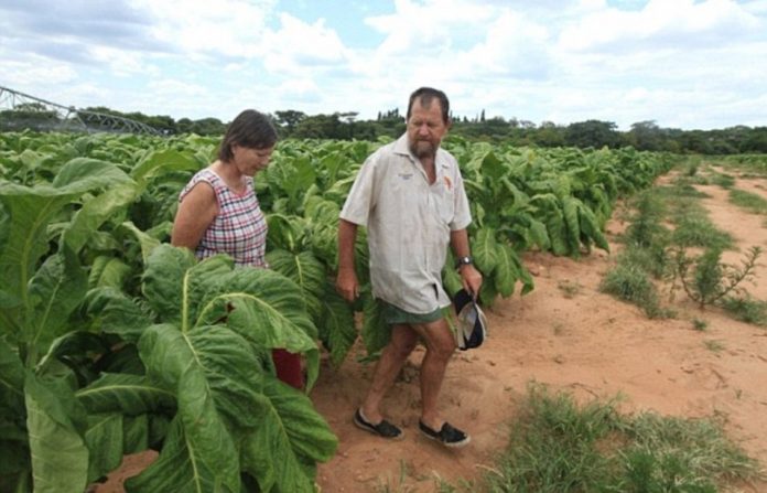 white farmers