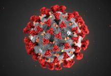 Government efforts to curb the rate of infection from the COVID-19 virus are bearing fruit with cases dropping by almost 50 percent