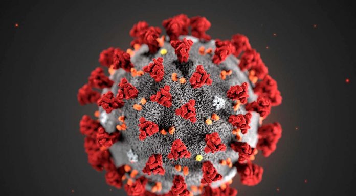 Government efforts to curb the rate of infection from the COVID-19 virus are bearing fruit with cases dropping by almost 50 percent