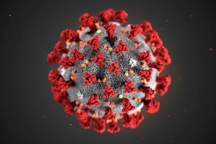 Covid 19 Government efforts to curb the rate of infection from the COVID-19 virus are bearing fruit with cases dropping by almost 50 percent