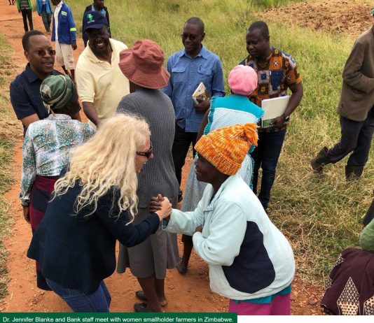 AfDB staff meet with women smallholder farmers in Zimbabwe