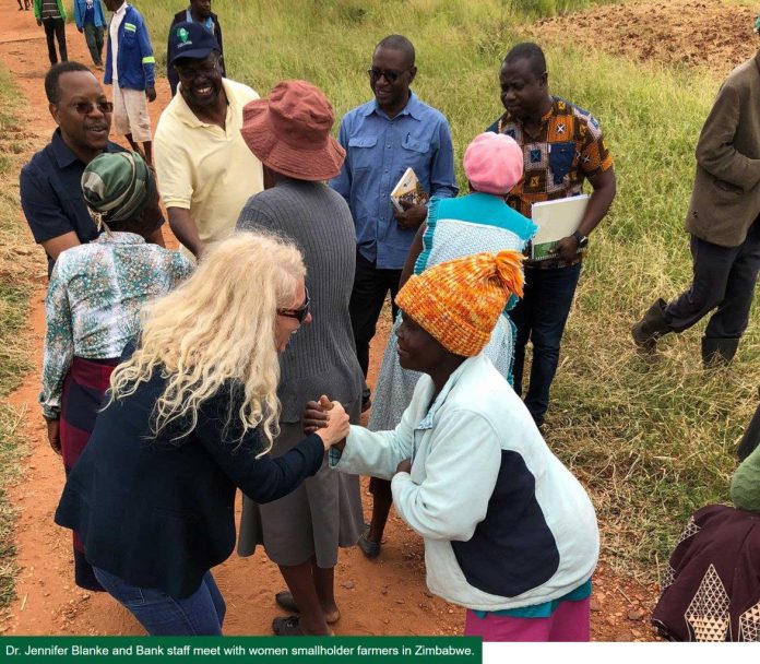 AfDB staff meet with women smallholder farmers in Zimbabwe