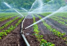 Water Irrigation