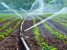 Water Irrigation