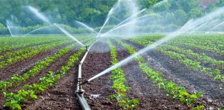 Water Irrigation