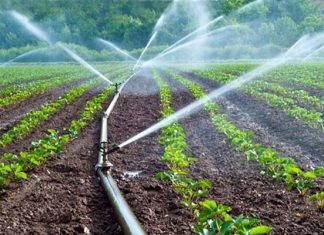 Water Irrigation