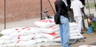 bags of mealie meal at Renkini