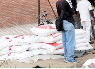 bags of mealie meal at Renkini