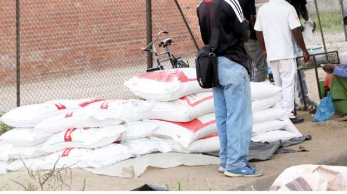 bags of mealie meal at Renkini