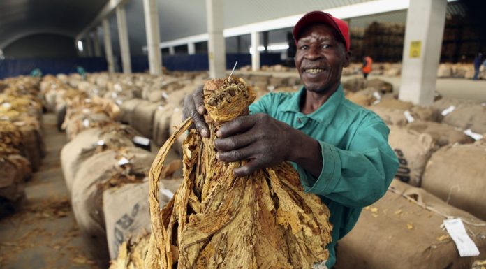 Tobacco Zimbabwe