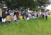 Zimbabwe Council of Churches