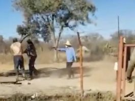 Chinese company compensates shot employee Chinese owned Gweru Mine shuts down after shooting incident offers victims 200 as compensation