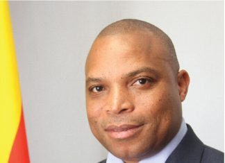 R. Njanike