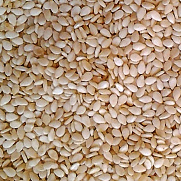 Sesame Seeds 1