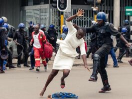 Police vow to thwart Friday protests Police Zim