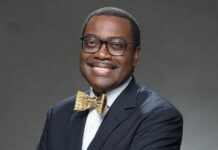 African Development Bank President Dr. Akinwumi A. Adesina on Thursday spoke out on the urgent need to finance climate adaptation