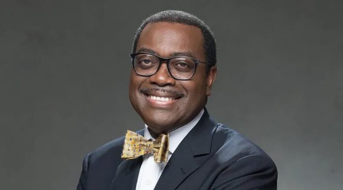 African Development Bank President Dr. Akinwumi A. Adesina on Thursday spoke out on the urgent need to finance climate adaptation