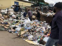 Government, residents to blame for the rot in cities – Mayors Garbarge 1