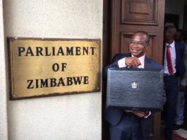 Mthuli Ncube