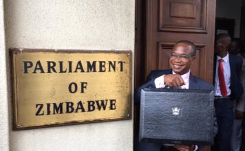 Mthuli Ncube