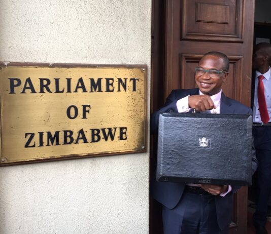 Mthuli Ncube