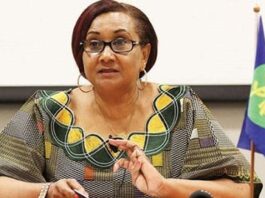 Unity sustained COVID-19 fight in SADC – Tax Stergomena Lawrence Tax