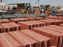 Turnall Q1: More Volume, Weaker Margins, and a Plant That Still Has to Prove Itself