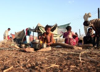 Tigray Conflict