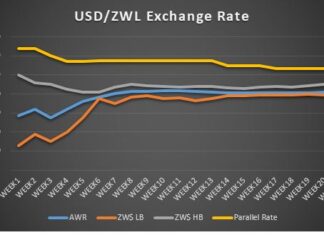 USD auction
