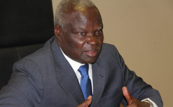 Local Government and Public Works minister July Moyo is accused of interfering in municipalities programmes